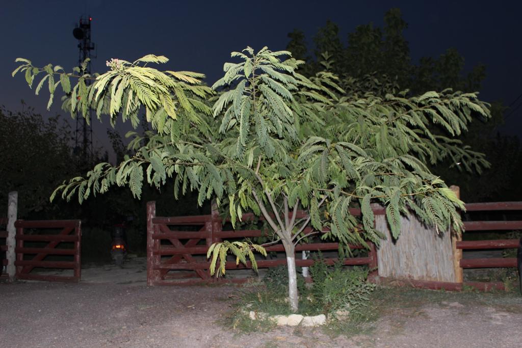 Pensiunea Heracleea Jurilovca Ngoại thất bức ảnh